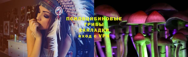 сатива Арсеньев