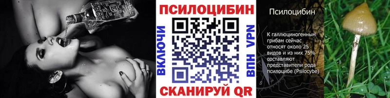 площадка телеграм  Суровикино  Галлюциногенные грибы мицелий 