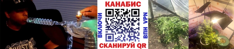 цены наркотик  Суровикино  Канабис семена 